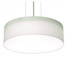 AFX Lighting, Inc. ANP1932LAJUDSN-LW - Anton 20" LED Pendant