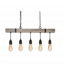 AFX Lighting, Inc. NOAP3010MBDG - Noah 30 Pendant