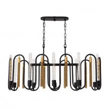 Varaluz 354N10MBAG - Darden 10-Lt Linear Pendant - Matte Black/Antique Gold