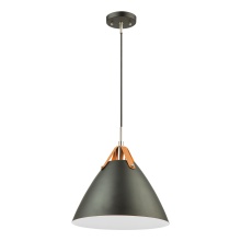 Artcraft SC13320BK - Pendant