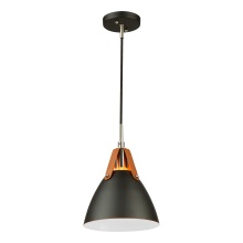 Artcraft SC13321BK - Pendant