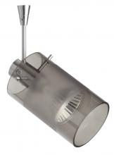 Besa Lighting SP-6524ES-06-SN - Besa Spotlight With 6" Stem Scope Satin Nickel Smoke/Frost 1x50W Halogen Mr16