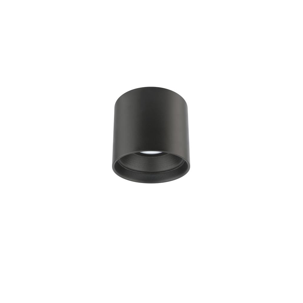 Downtown Outdoor Flush Mount Light