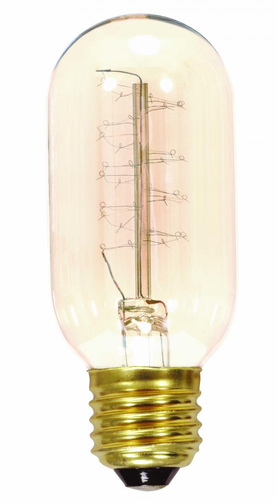 40 Watt T14 Incandescent; Clear; 3000 Average rated hours; 160 Lumens; Medium base; 120 Volt