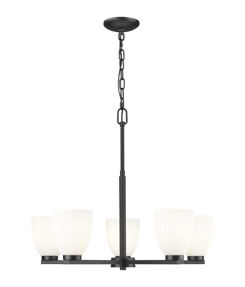5 Light Chandelier