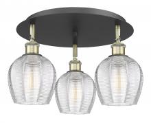 Innovations Lighting 516-3C-BAB-G462-6 - Norfolk - 3 Light - 18 inch - Black Antique Brass - Flush Mount