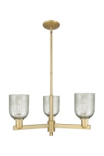 Innovations Lighting 716-3CR-BB-G259 - Caledonia - 3 Light - 27 inch - Brushed Brass - Stem hung - Pendant