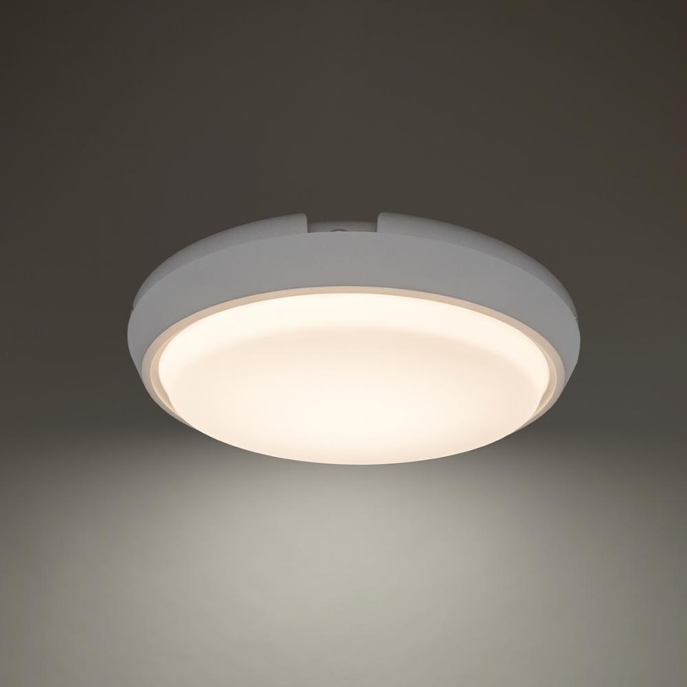 Zenith Flush Mount Light