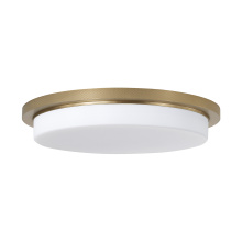 Capital 261311AD - 1 Light Flush