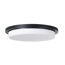 Capital 261311MB - 1 Light Flush