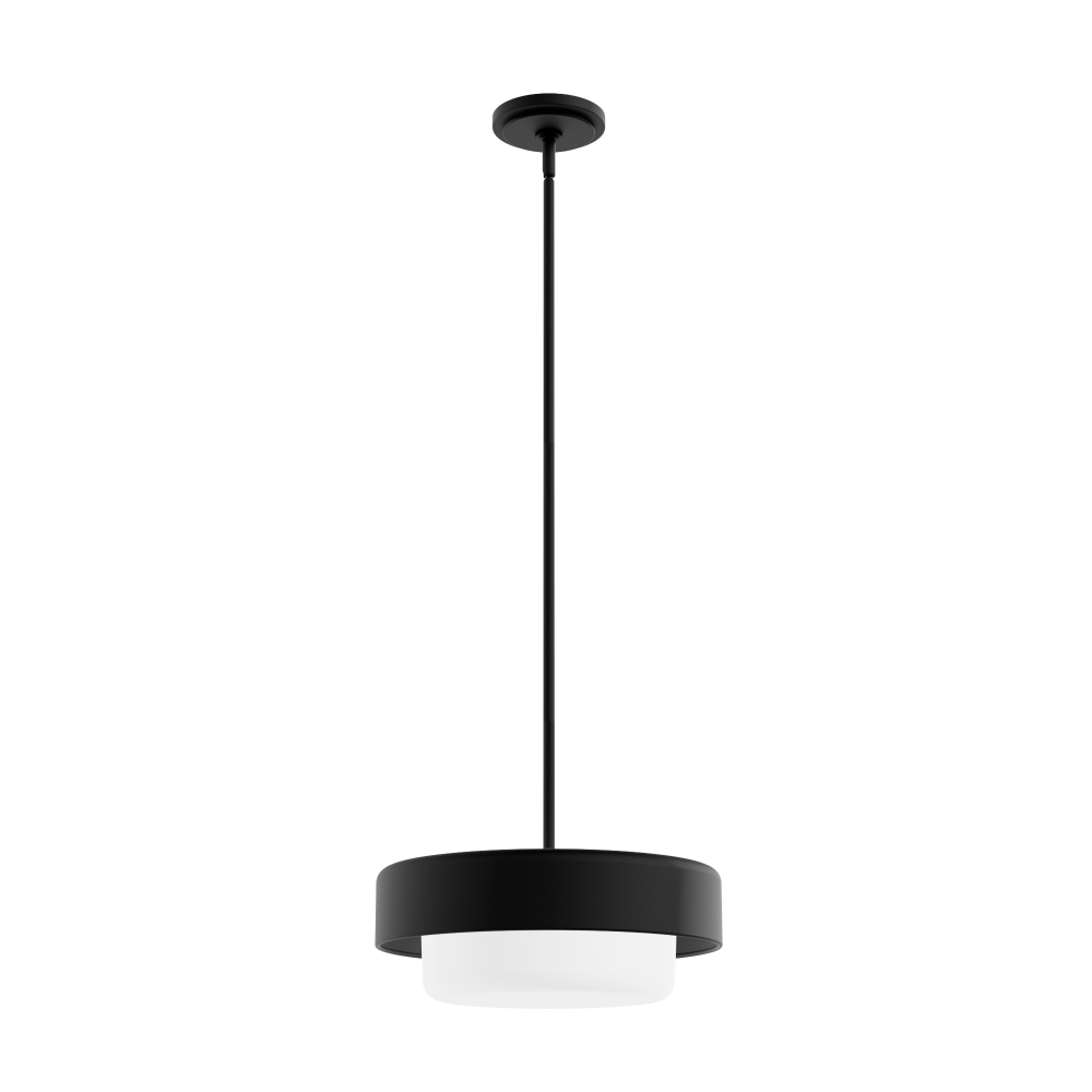 Hunter Station Natural Black Iron with Frosted Cased White Glass 2 Light Pendant Ceiling Light Fixtu