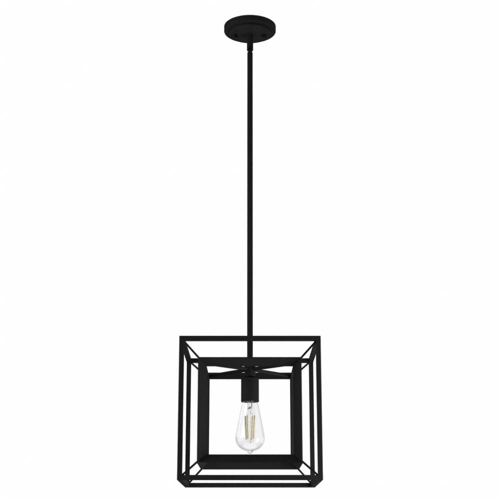 Hunter Doherty Natural Black Iron 1 Light Medium Pendant Ceiling Light Fixture