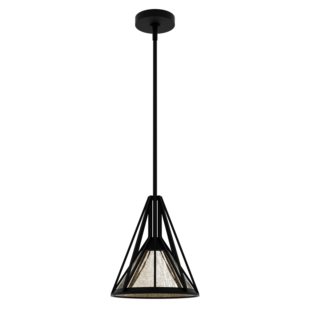 Hunter Rafner Natural Black Iron with Mercury Glass Glass 1 Light Pendant Ceiling Light Fixture