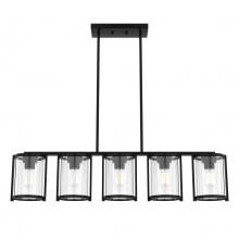 Hunter 48013 - Hunter Astwood Matte Black with Clear Glass 5 Light Chandelier Ceiling Light Fixture