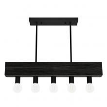 Hunter 13055 - Hunter Donelson Natural Black Iron and Dark Ash 5 Light Chandelier Ceiling Light Fixture