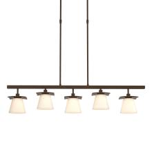 Hubbardton Forge 136605-SKT-STND-05-GG0242 - Wren 5 Light Pendant