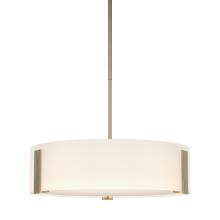 Hubbardton Forge 136753-SKT-MULT-84-GG0216 - Impressions Pendant