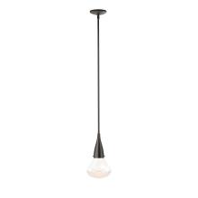 Hubbardton Forge 188902-SKT-MULT-14-ZM0676 - Fritz Large Pendant