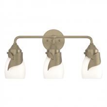 Hubbardton Forge 201352-SKT-84-GG0330 - Lapas 3-Light Bath Sconce