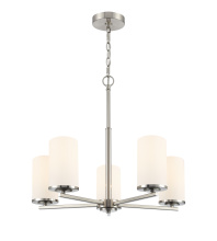 Millennium 2715WG-BN - Verlana 24" 5-Light Chandelier - Brushed Nickel