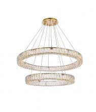 Elegant 3503G36G - Monroe 36 Inch LED Double Ring Chandelier in Gold