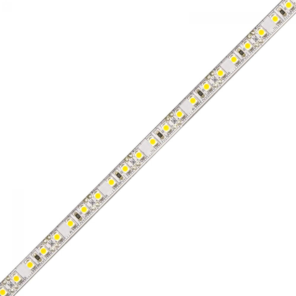 BLAZE LED Tape Light - 12V, 2700K, 80 CRI, 16.4 ft.