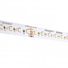 Diode Led DI-24V-VL-RGBW-016 - STRIP/TAPE LIGHT