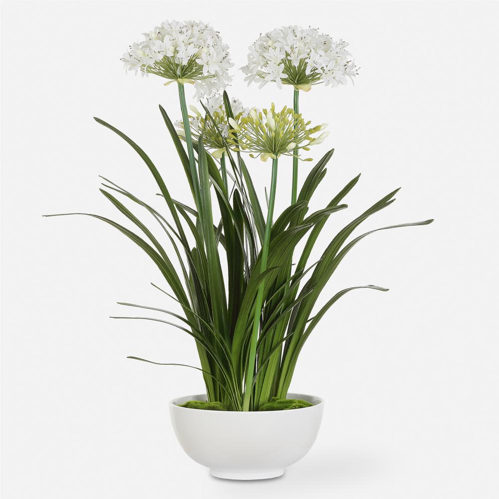 Uttermost Purity Agapanthus Centerpiece